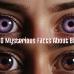 Dive into 100 mysterious facts about big eyes, exploring science, beauty, psychology, myths, and symbolism behind large, captivating eyes