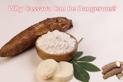 Discover the hidden danger of eating cassava and why improper preparation can lead to serious health risks, including cyanide poisoning. Learn how to enjoy it safely.