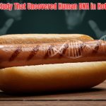 A groundbreaking food study found human DNA in hotdogs. Discover how this happened, what it means, and whether your favorite snack is still safe to eat.