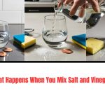 Have you ever wondered what really happens when you mix salt and vinegar in water?