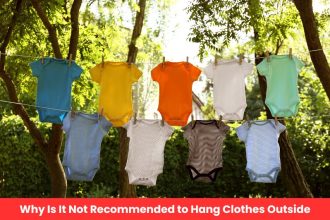 Discover why it is not recommended to hang clothes outside - from pollen allergies to fabric damage and surprising hygiene concerns, you need to know.