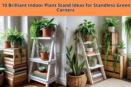 Explore 10 clever and stylish indoor plant stand ideas to transform empty corners into lush, green sanctuaries—perfect for every home aesthetic and budget.