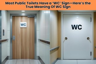 Discover the surprising Meaning Of WC Sign you see on public toilets everywhere. Learn its history, what it stands for, and why it’s still used today.