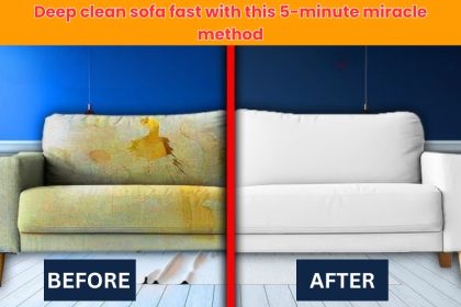 Learn how to deep clean sofa fast with this 5-minute miracle method! Remove stains, odors, and dust like a professional – no special tools needed.