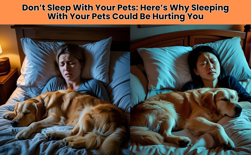 Discover why Sleeping With Your Pets might harm your health, sleep quality, and well-being. Learn the surprising risks and safer alternatives here.