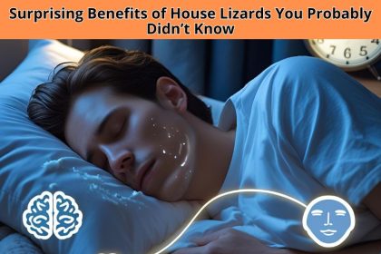 Frequent drooling at night might seem harmless, but it could reveal deeper issues. Learn the top drooling while sleeping causes and when to take action.