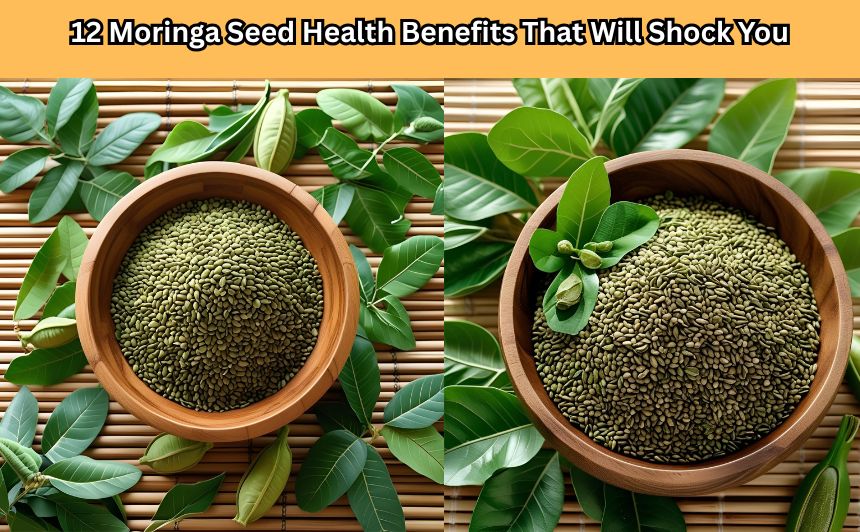 Discover 12 shocking moringa seed health benefits that could transform your body, boost immunity, and improve your lifestyle naturally.