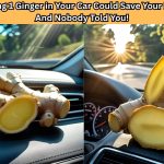 Discover why having ginger in your car might just save your life. Learn the powerful benefits of this humble root and how it can help in emergencies while driving.
