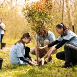 The Healing Power of Planting Trees