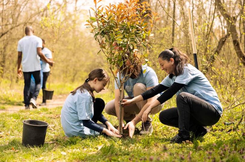 The Healing Power of Planting Trees