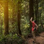 Forest Trails You Need to Hike Once in Your Life