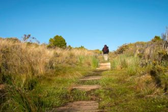 Paths That Lead Nowhere Beautifully