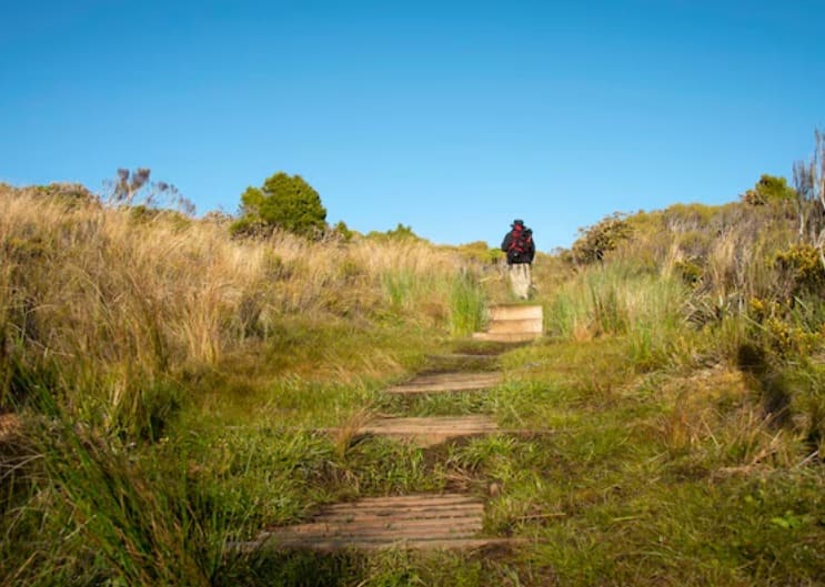 Paths That Lead Nowhere Beautifully